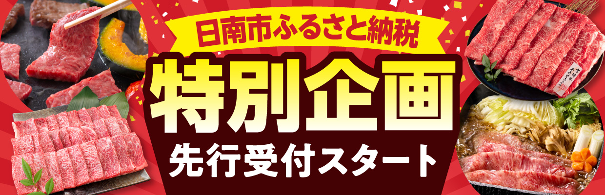 日南市先行企画