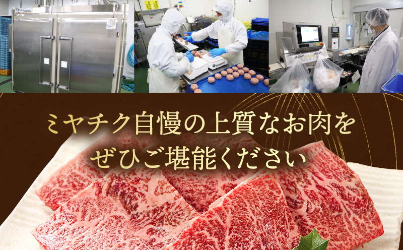 【期間限定】宮崎牛肩ロース焼肉400g×2 宮崎県産黒毛和牛小間切れ100g×2 合計1kg_M132-020-01-UP