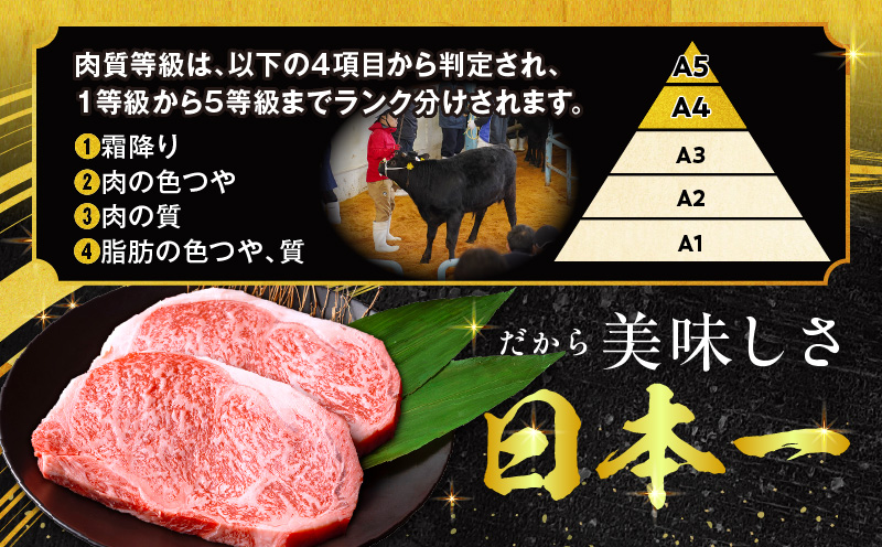 【2回定期便】宮崎牛ロースステーキ250g×2_M132-T014-ID-2-1