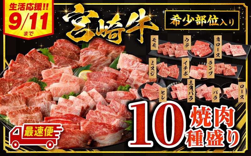 【最速便】宮崎牛焼肉10種盛り合わせ_M132-067-D-2W