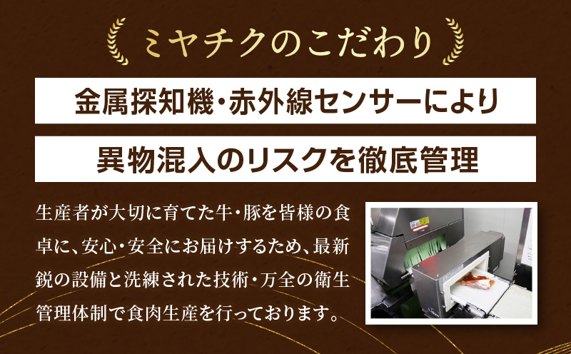 4等級以上宮崎県産和牛ウデスライス＆国産牛ハンバーグ4個　計1.4kg_M132-075