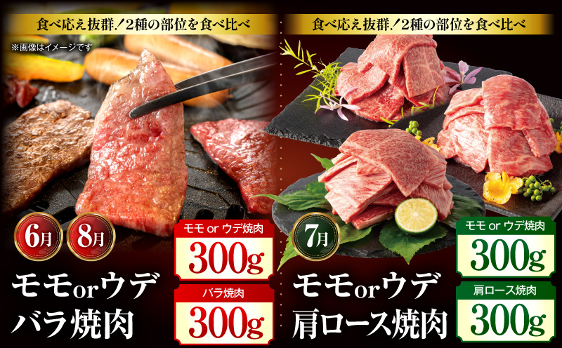 【全12回定期便】宮崎牛プレミアムセレクション_M132-T042-12-1