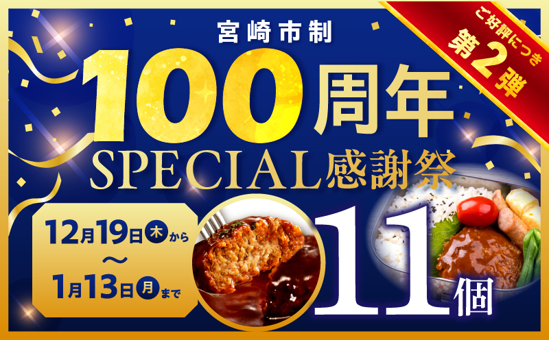 【市制100周年特別規格・期間限定】デミグラスハンバーグ11個_M132-081_01-UP