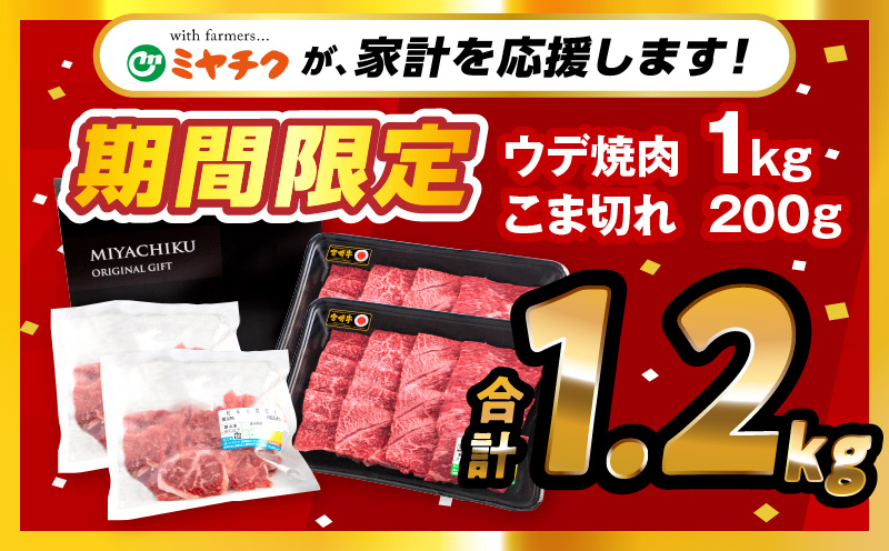 【期間限定】宮崎牛ウデ焼肉500g×2 宮崎県産黒毛和牛小間切れ100g×2 合計1.2kg_M132-022-01-UP