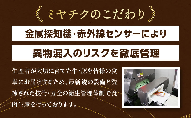 宮崎牛を食べつくす！ぎゅぎゅっとバラエティ定期便(総重量3.85kg)_M132-T002