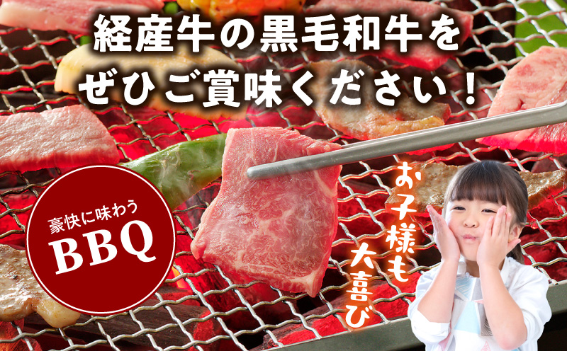 黒毛和牛（経産牛）6種焼肉セット300g_M132-077