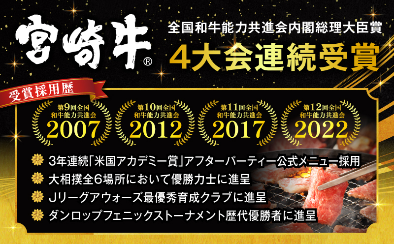 【期間限定】宮崎牛焼肉10種盛り合わせ+合挽きハンバーグ100g×2個_M132-067-B