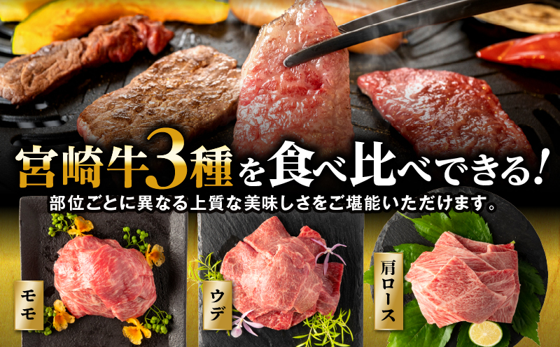 【期間・数量限定】畜産農家応援！宮崎牛 焼肉3種セット(肩ロース・ウデ・モモ 各300g)・国産牛ハンバーグ100g×4個_M132-093-B1
