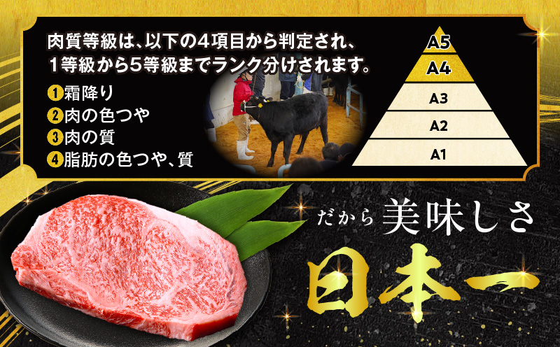 【数量限定】畜産農家応援！宮崎牛ロースステーキ250g(真空パック)_M132-096-PU
