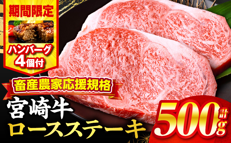 【期間・数量限定】畜産農家応援！宮崎牛ロースステーキ250g×2・国産牛ハンバーグ100g×4個_M132-014-B1