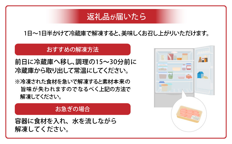 宮崎県産 豚 使用 肉巻 餃子 20個入り_M132-034