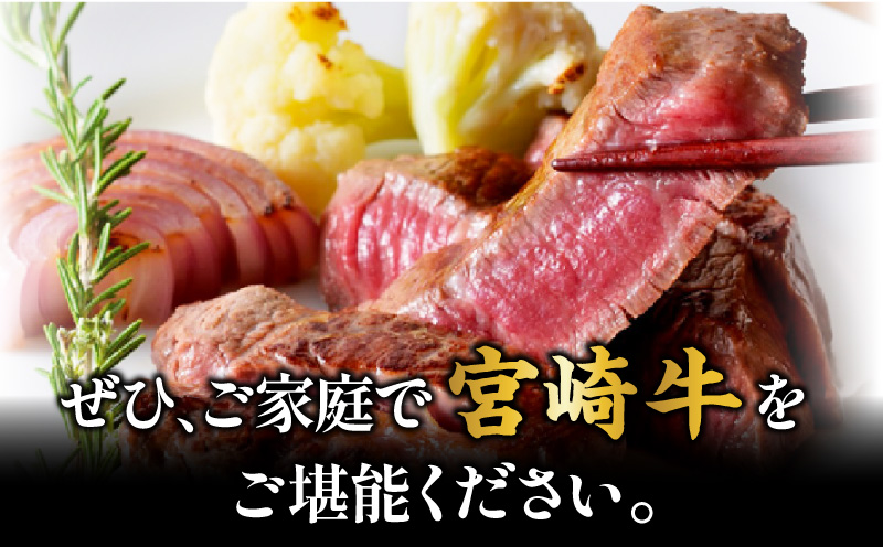 宮崎牛ヒレステーキ3枚 合計450g_M132-001_04