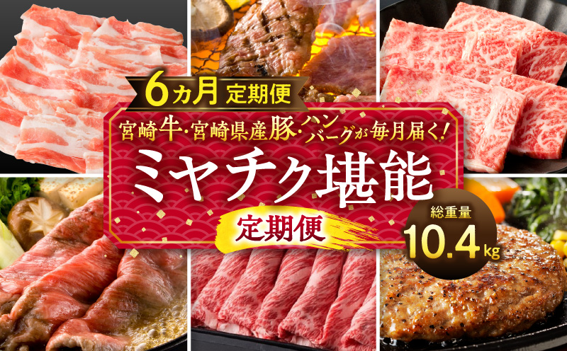 宮崎牛・宮崎県産豚・ハンバーグが毎月届く！ミヤチク堪能定期便(総重量10.4kg)_M132-T001