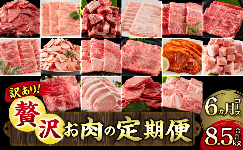 【訳あり】<定期便>宮崎県産黒毛和牛・宮崎県産豚肉 贅沢6か月コース_M132-T046