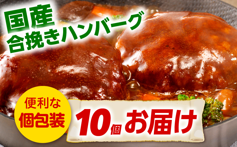合挽デミグラスソースハンバーグ10個_M132-081_01