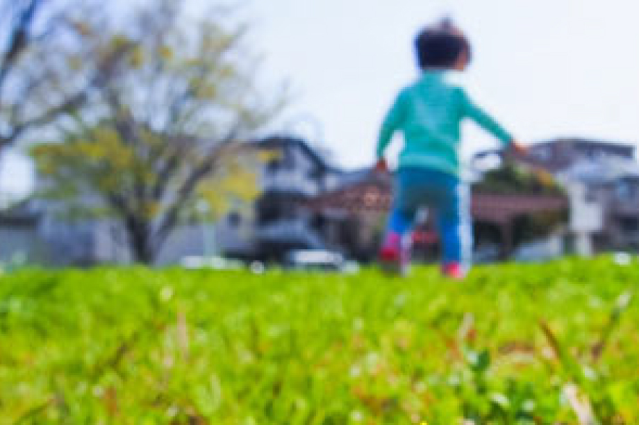 福祉：子どもから高齢者まで、安心して生活できるまちづくり