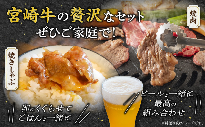 宮崎牛 肩ロース 焼きしゃぶ 300g ウデ 焼肉 400g 合計700g_M132-031