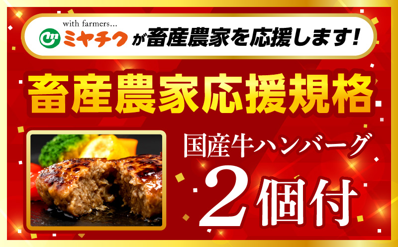 【期間・数量限定】畜産農家応援！宮崎牛 焼肉3種セット(肩ロース・ウデ・モモ 各300g)・国産牛ハンバーグ100g×2個_M132-093-B2