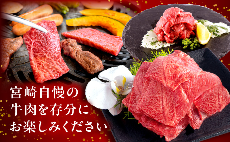 【期間限定】宮崎牛ウデ焼肉500g 宮崎県産黒毛和牛小間切れ100g 合計600g_M132-022-UP