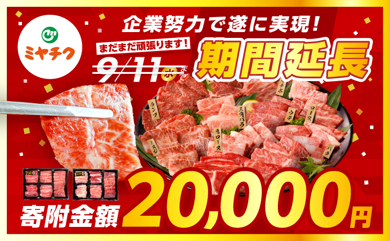 【最速便】宮崎牛焼肉10種盛り合わせ_M132-067-D-2W