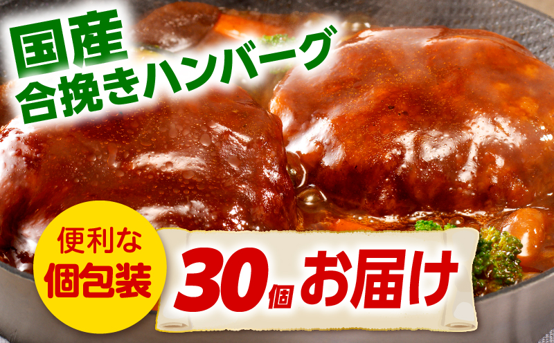 合挽デミグラスソースハンバーグ30個_M132-081_02