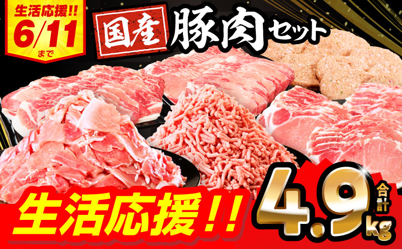 【2025年7月発送】【期間・数量限定】大満足豚肉ロースバラエティセット4.9kg_M132-094-UP-jul