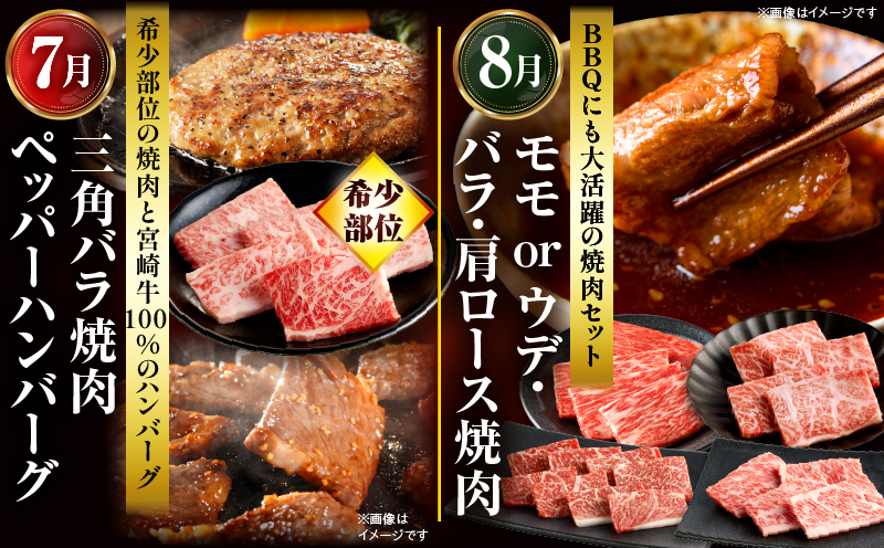 【全12回定期便】宮崎牛グランドセレクション_M132-T043-12-1