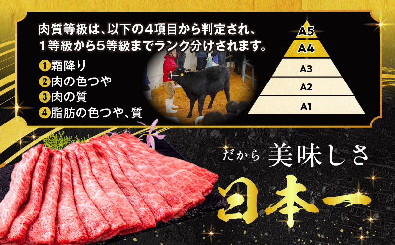 宮崎牛 肩ロース スライス 300g×2パック 合計600g_M132-006_02