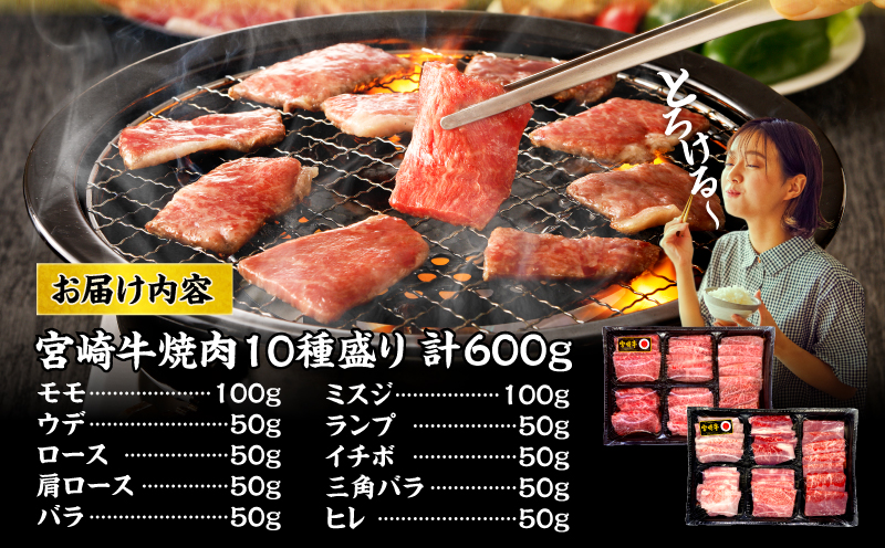 【最速便】宮崎牛焼肉10種盛り合わせ_M132-067-D-2W