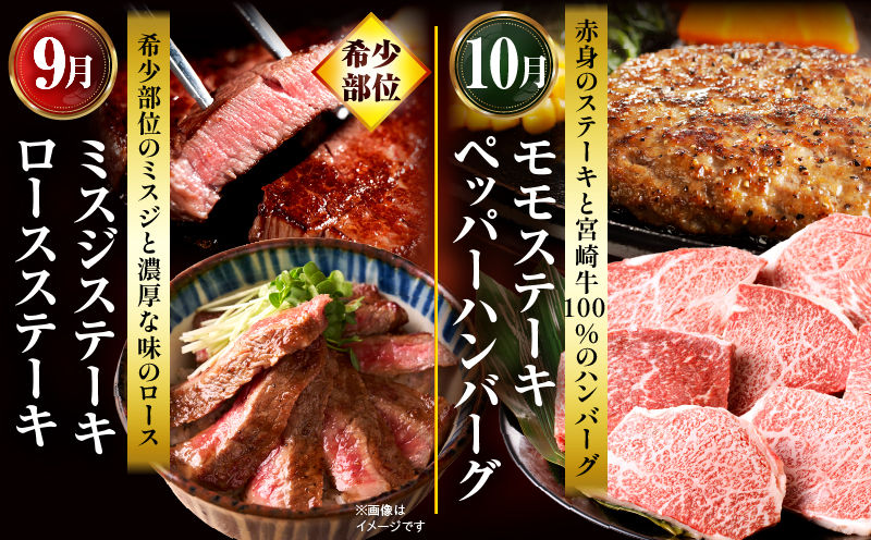 【全12回定期便】宮崎牛グランドセレクション_M132-T043-12-1