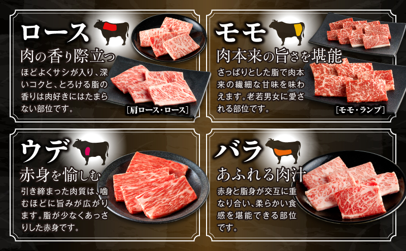  宮崎牛焼肉10種盛り合わせ_M132-067