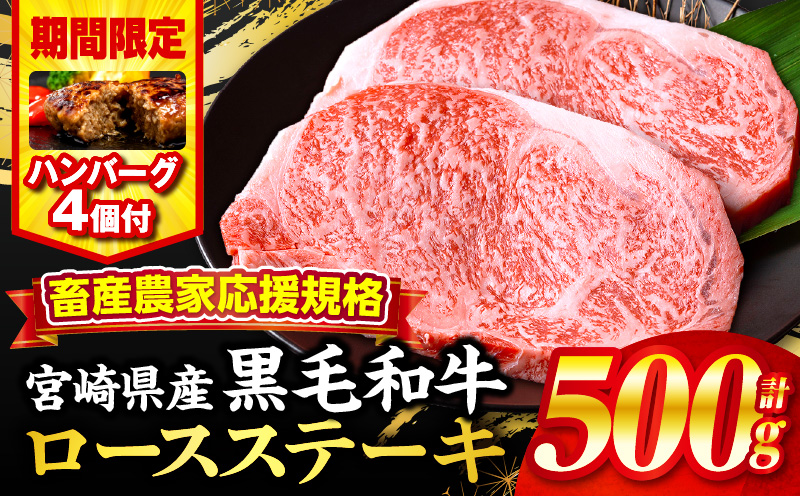 【期間・数量限定】畜産農家応援！宮崎県産黒毛和牛ロースステーキ250g×2・国産牛ハンバーグ100g×4個_M132-091-B1