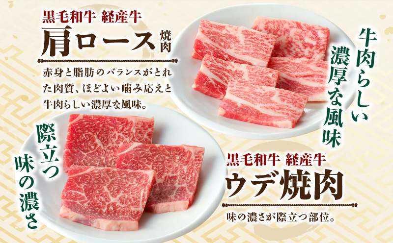 黒毛和牛（経産牛）6種焼肉セット300g × 2（計600g）_M132-078