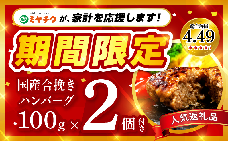 【期間・数量限定】宮崎牛ロースステーキ250g×2 合挽きハンバーグ100g×2個 合計700g_M132-014-B