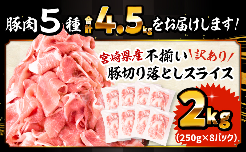 大満足豚肉ロースバラエティセット4.5kg_M132-104