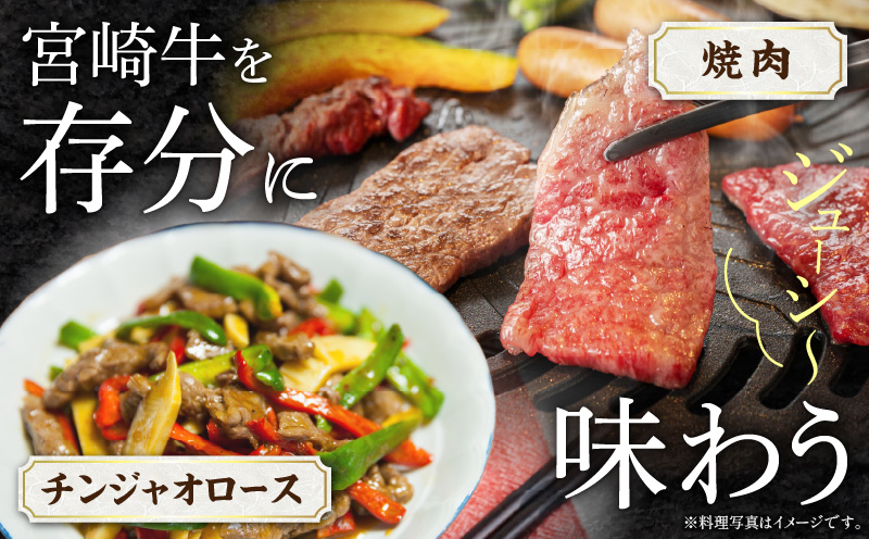 【期間限定】宮崎牛モモ焼肉500g×2 宮崎県産黒毛和牛こま切れ100g×2 合計1.2kg_M132-024-01-UP