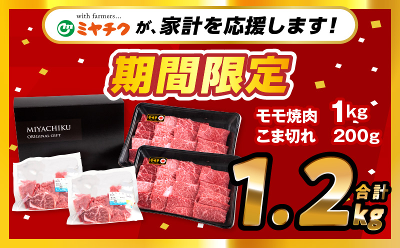 【期間限定】宮崎牛モモ焼肉500g×2 宮崎県産黒毛和牛こま切れ100g×2 合計1.2kg_M132-024-01-UP