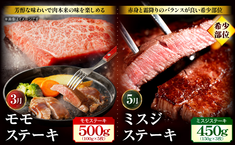 【全12回定期便】宮崎牛プレミアムセレクション_M132-T042-12-1