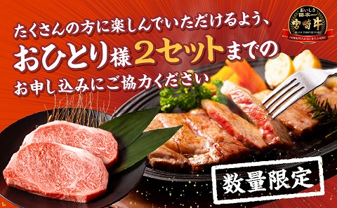 【数量限定】宮崎牛ロースステーキ250g×2 合計500g_M132-014-D