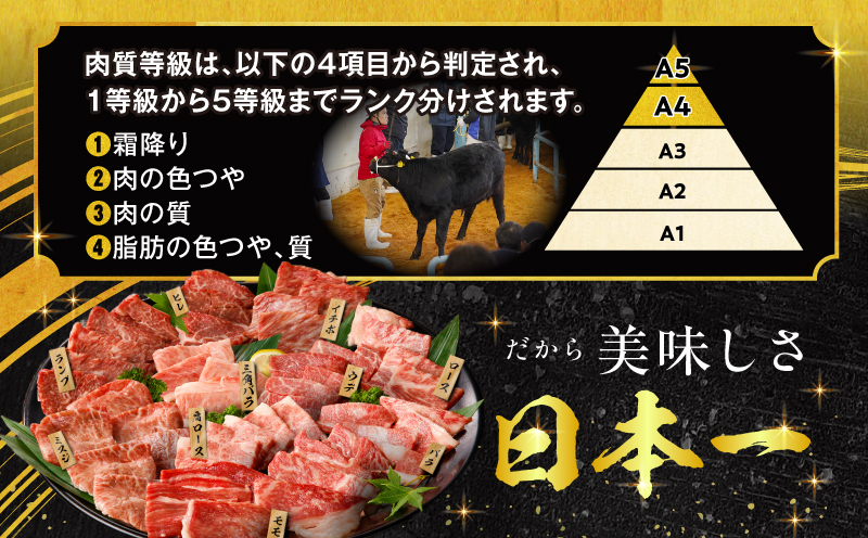 宮崎牛焼肉10種盛り合わせ_M132-067