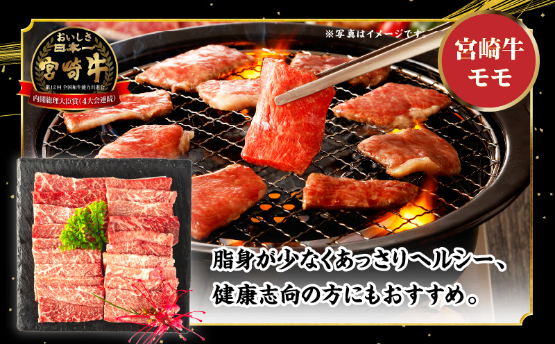 宮崎牛 モモ ウデ 焼肉 セット 各400g 合計800g_M132-012_02