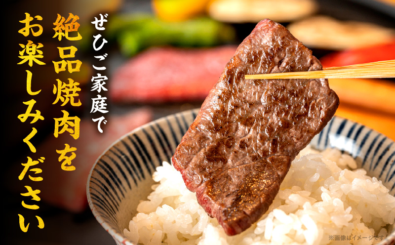 【期間限定】宮崎牛バラ焼肉500g 宮崎牛モモ焼肉500g 宮崎県産豚バラ焼肉500g 宮崎県産黒毛和牛小間切れ100g×2 合計1.7kg_M132-028-UP