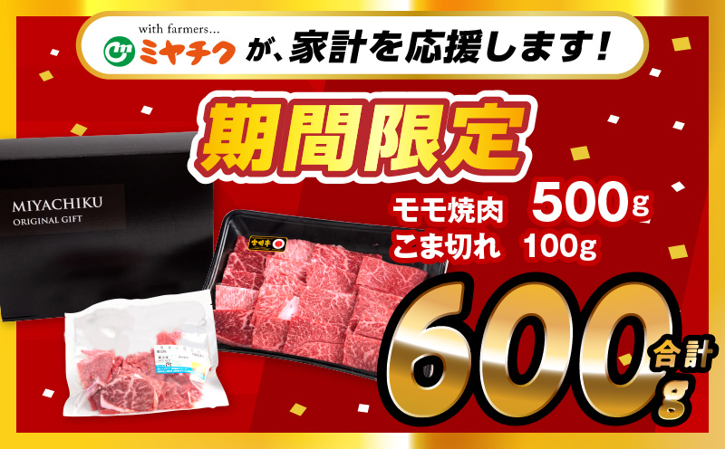 【期間限定】宮崎牛モモ焼肉500g 宮崎県産黒毛和牛こま切れ100g 合計600g_M132-024-UP