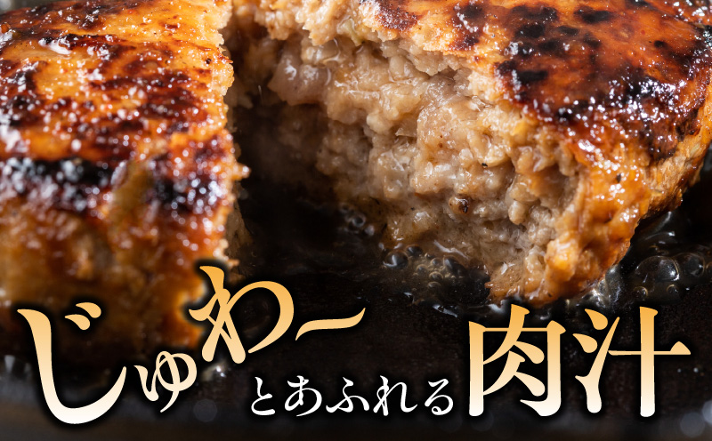 宮崎牛ペッパーハンバーグ 100g 10個入_M132-066 | 返礼品をさがす