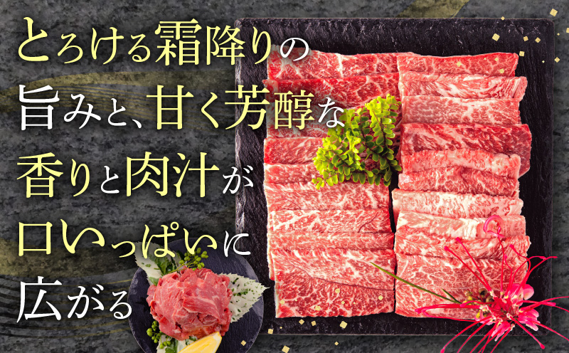 宮崎牛 モモ 焼肉 400g×1 宮崎県産 黒毛和牛 こま切れ 100g×1 合計500g_M132-024