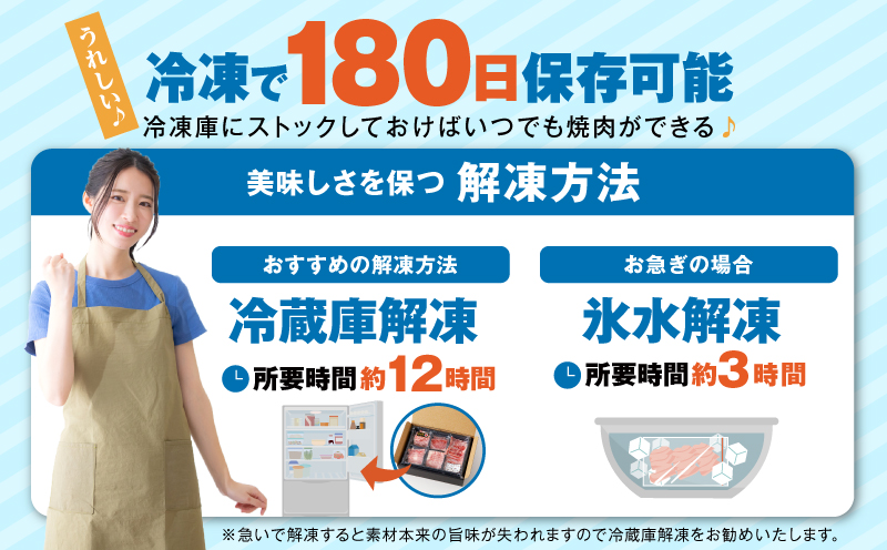 宮崎牛焼肉10種盛り合わせ_M132-067