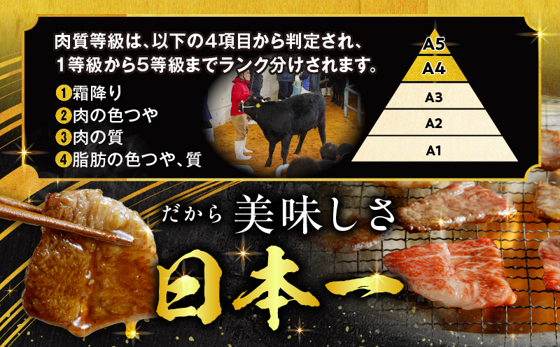 【期間限定】宮崎牛焼肉10種盛り合わせ+合挽きハンバーグ100g×2個_M132-067-B