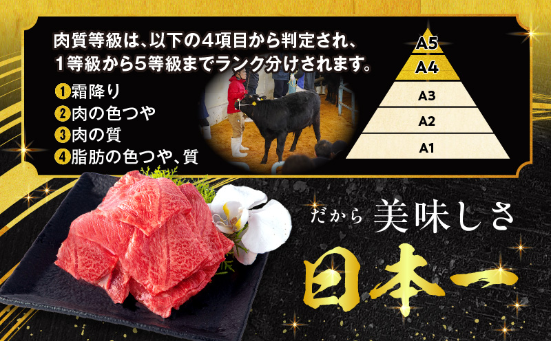 【期間限定】宮崎牛ウデ焼肉500g 宮崎県産黒毛和牛小間切れ100g 合計600g_M132-022-UP