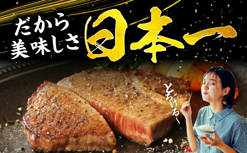 宮崎牛ヒレステーキ3枚 合計450g_M132-001_04