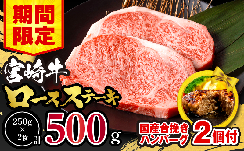 【期間・数量限定】宮崎牛ロースステーキ250g×2 合挽きハンバーグ100g×2個 合計700g_M132-014-B